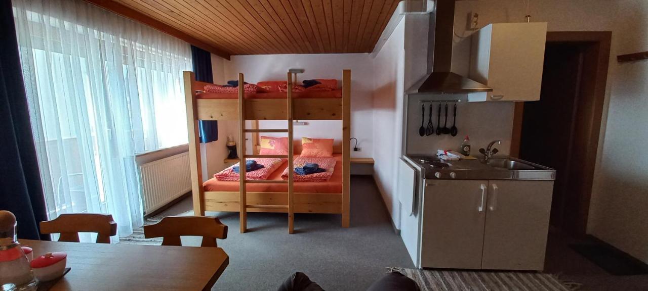 Апартаменти Studio Hochzillertal Mit Sauna & E-Ladestation Рід-ім-Ціллерталь Екстер'єр фото
